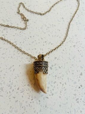 Vein agate claw/tooth brass